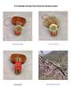 Peach Wood Five-Color Thread Pendant Set, 7-Piece, 7 cm: Worry-Dissolving Decor for Living Room and Bedroom