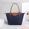 Shoulder Bags for Women Luxury Handbags Designer Famous Tote Women Messegner Crossbody Bag Female Casual Top-handle Bag E300-1