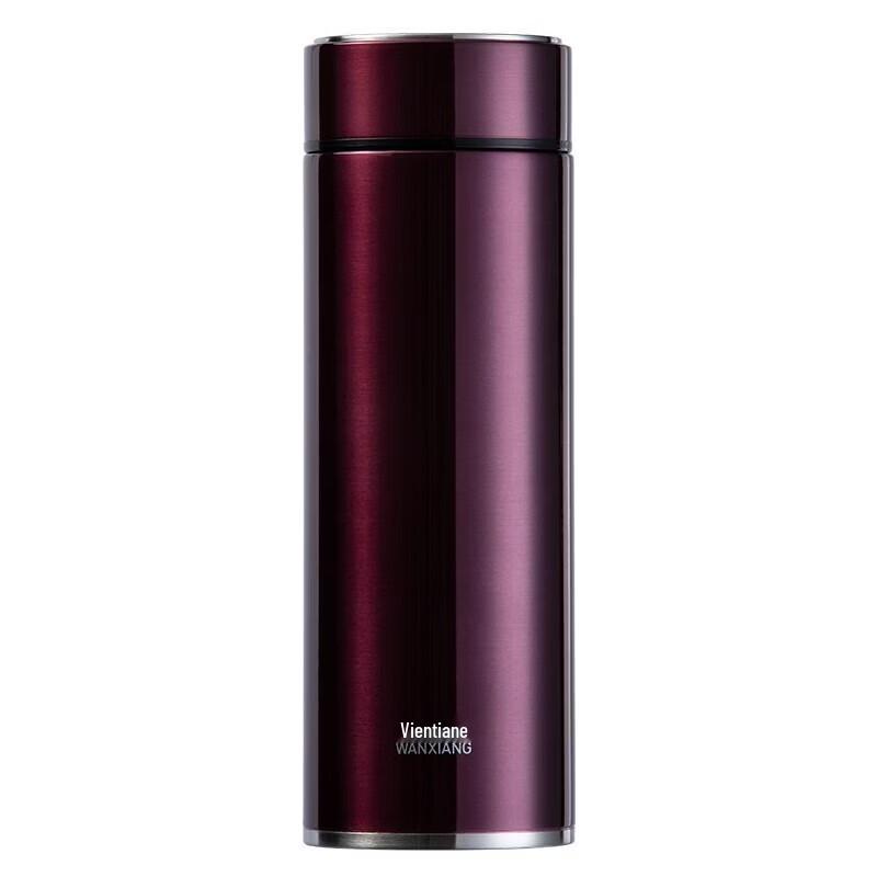 WANXIANG Business Portable Insulated Tea Infuser Bottle