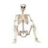 36" Halloween Posable Skeletons Full Body Plastic Human Bone Model with Movable Joints for Yard Haunted House Indoor Outdoor Decor