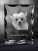 Chinese Crested Dog, Puff - crystal with a picture of a dog, glass statuette with a picture, unique frame with a picture from Art-Dog brand