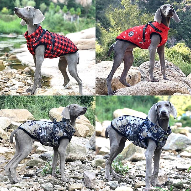 Büyük evcil köpek ceketi koşum takımı ile kış sıcak köpek giysileri Labrador için su geçirmez büyük köpek ceket Chihuahua fransız Bulldog kıyafetler