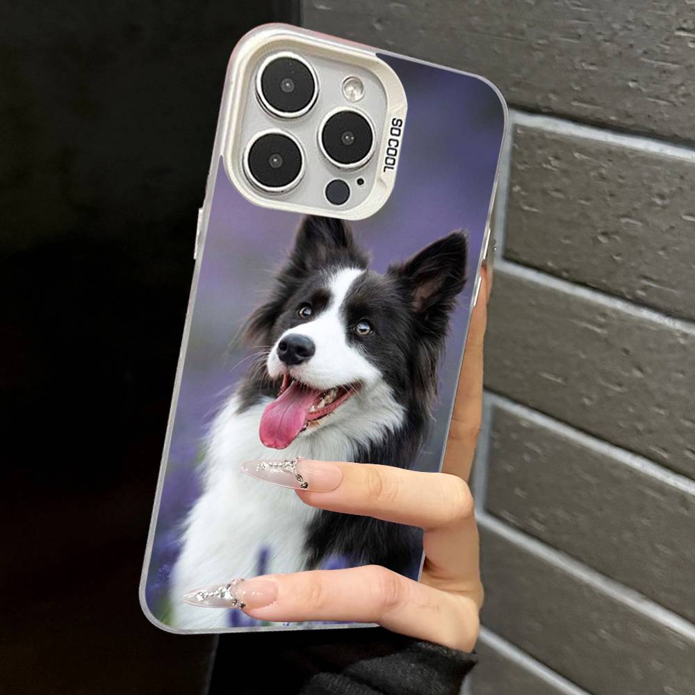 

Border Collie Dog Phone Case For iPhone 17 Air 16 15 14 11 12 13 Pro Max Plus X XR XS Colored Silver Hard Cover iPhone 15 pro