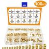 300pcs Female Thread Brass Knurled Embedment Nuts Assortment Nuts Accessories