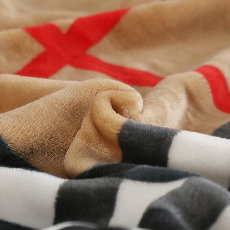 Woodpecker Snow Mink Velvet Blanket