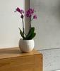 Ceramic Round Sphere Planter Pot