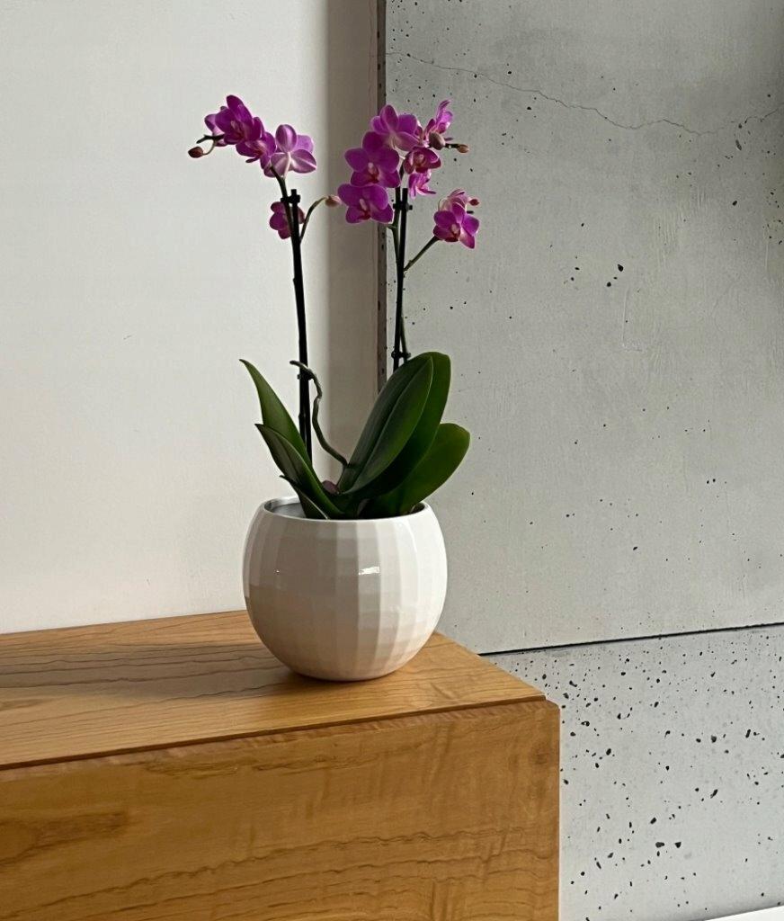 Ceramic Round Sphere Planter Pot