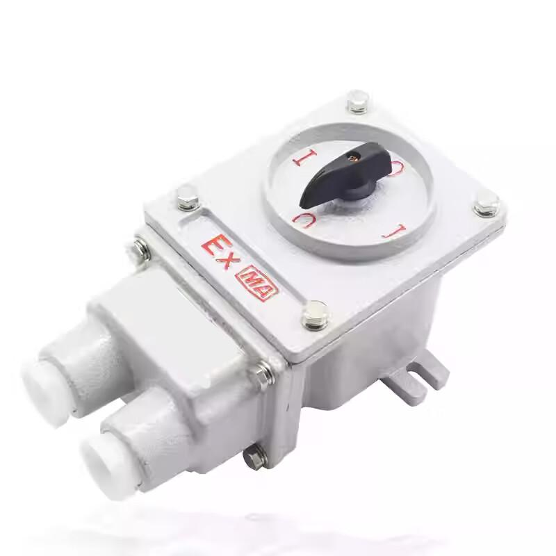 YuHengJi BHZ51-10A Explosion-proof Changeover Switch