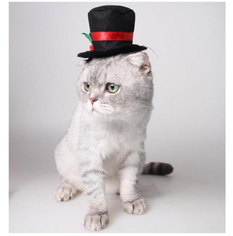 Black Hatter Hat for Cats Small Dogs 
