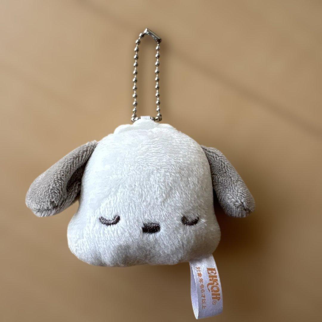 Pochacco Mascot Keychain Sanrio EIKOH