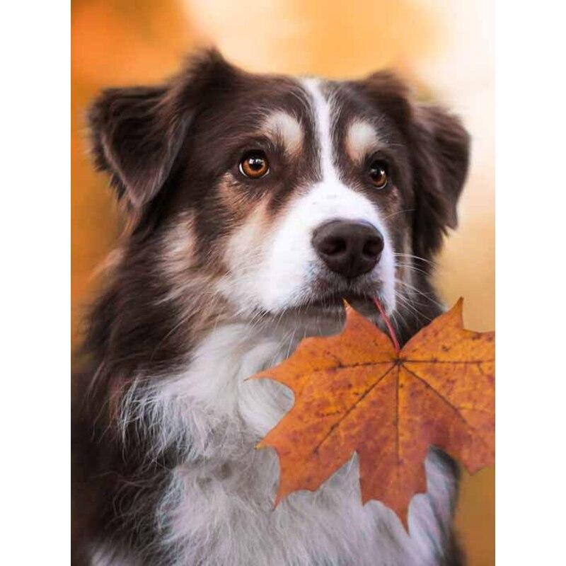 5D DIY Diament Malarstwo Jesienne Liście Pies Diament Haft Zwierząt Cross Stitch Pełne Kwadratowe Okrągłe Wiertła Home Decor Instrukcja Prezent