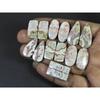 Natural Rosetta Crazy Lace Agate Mix Cabachon Loose Gemstone 07 Pcs Lot C-2610