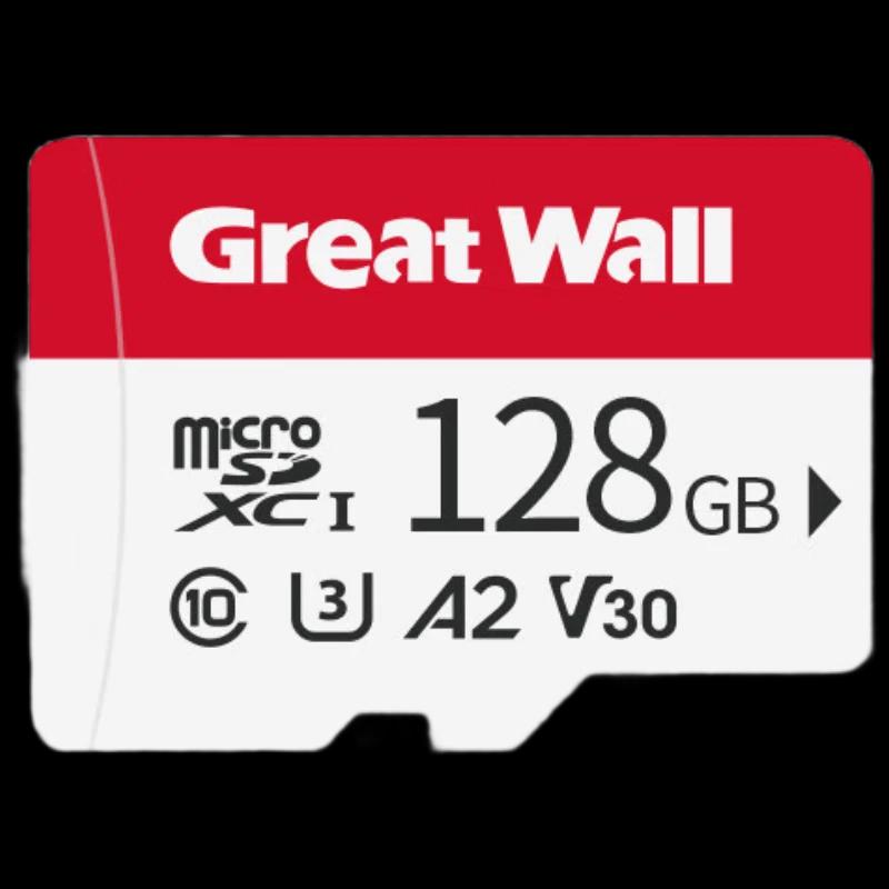 Great Wall 32GB TF Memory Card