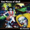 Tiny Pieces of Skull or a Lesson In Manners by Roz Kaveney Paperback Book 9780956971975