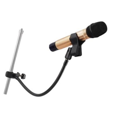 Accessori per audio e video – Microfoni