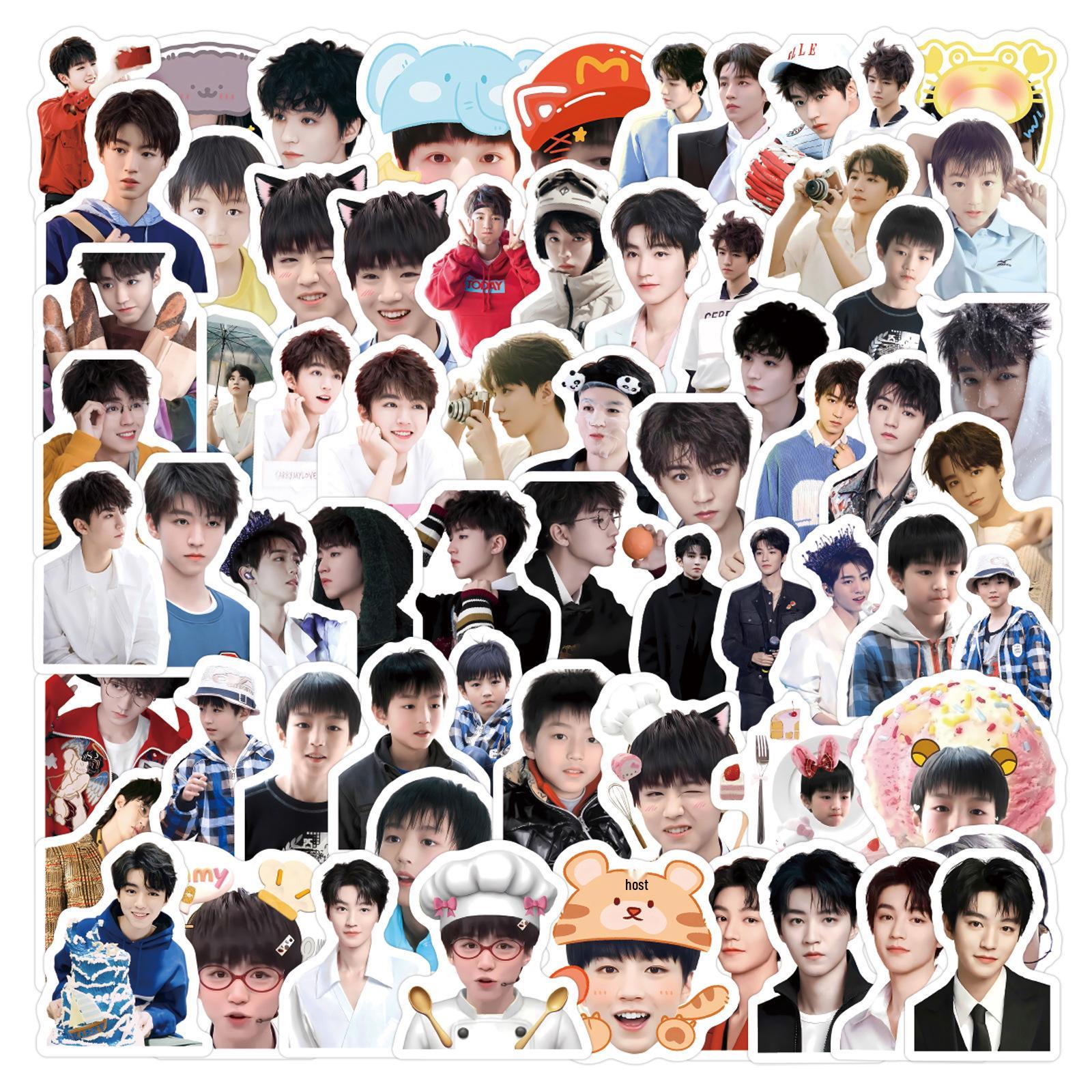 100 TFboy Wang Junkai Celebrity Graffiti Stickers for Water Bottles & Tablets