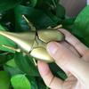 Wind Up Realistic Unicorn Beetle Simulation Crawling Insect Toy Preschool Educational Enlightenment Sensory Learning Gift For