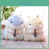 Seed Hamster Melon Plush Toy Stuffed Animal Doll Cartoon Decoration Kids Gift