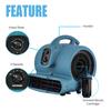 XPower P-650T Air Mover Utility Carpet Dryer Blower Air Eliminator Air Blower Supermarket Industrial Big Power Multi Blower