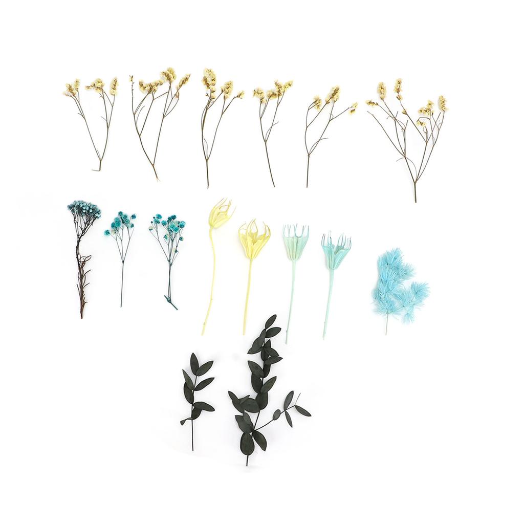 Dried Flowers Natural Odorless Exquisite Bouquet Making Materials DIY Dried Flowers for Tabletop Party Decoration