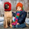 1-10PCS Autumn Winter Pet Ear Protector Knitted Dog Hat Warm Elastic Ear Cover Windproof Comfortable Cold Weather Accessory