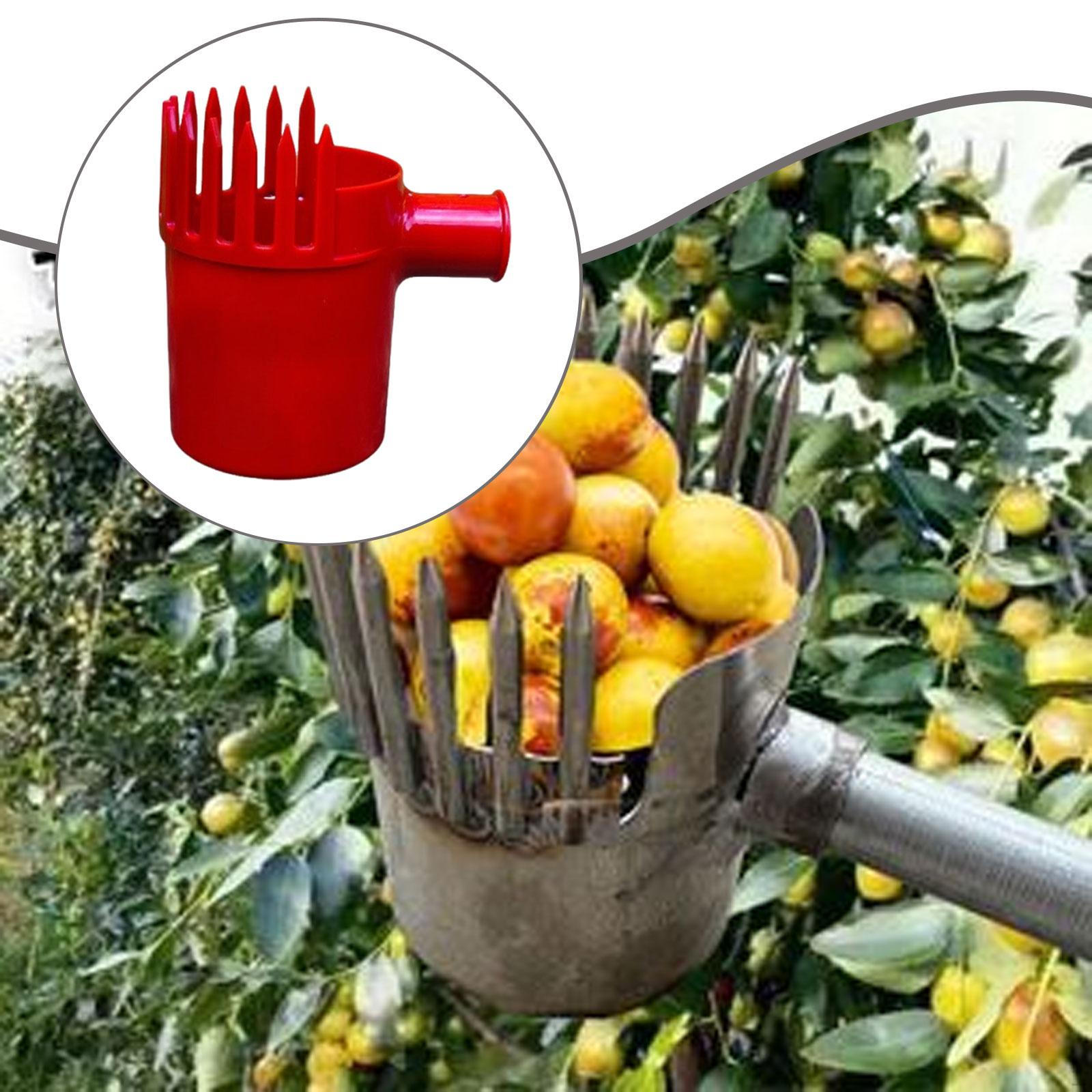 

Fruit Picker Picking Device Gardening Equipment Grapefruit Farming High Performance Sturdy Practical