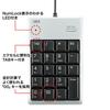 Sanwa Supply USB 2.0 Hub with Numeric Keypad, Silver, NT-16UH2SVN