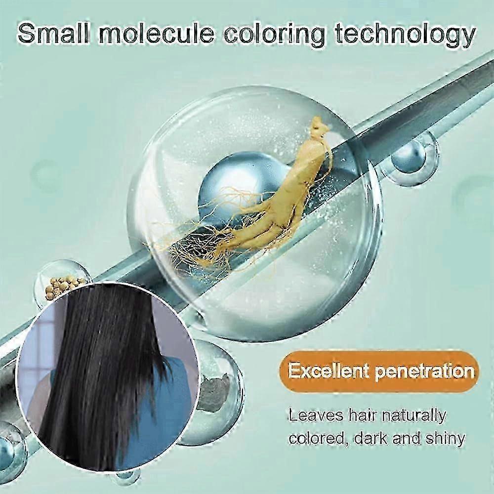 2025 Natural Plant Hair Dye, New Botanical Bubble Hair Dye 10Packs/Box