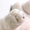 Cute Grey Wolf Plush Toys Simulation Giant Squid Stuffed Toys Cute Animal Plush Dolls for Kids Girls Gifts