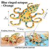 Oenux Sea Life Animals Coral Octopus Nautiloidea Crab Starfish Ocean Model Action Figures Educational Collection Toy Kid Gift