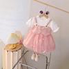 Girls Princess Dress Spring Autumn Tulle Tutu Skirt Kids Elegant Party Gown Children Casual Long Sleeve Clothing