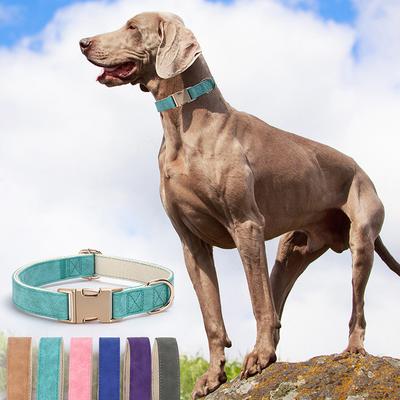 Cães – Colares e correias para cães