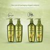 Schwarzkopf Ginger Essence Oil Control & Repair Shampoo