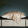 Mulberry Silk Charmeuse Silk Pillowcase With Lyocell Underside for Hair and Skin 1pc Envelope Closure
