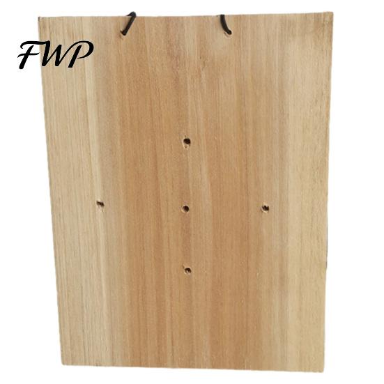 Hanging Fern Planter Staghorn Hanger Board, Mounting Board with Pre-Drilled Holes, Geometric Designs, Pre-drilled Plant Vertical Holder for
