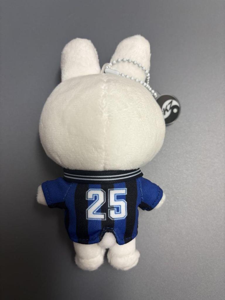 [GEBRAUCHT] straykids sukiz karma levitt skzoo reno