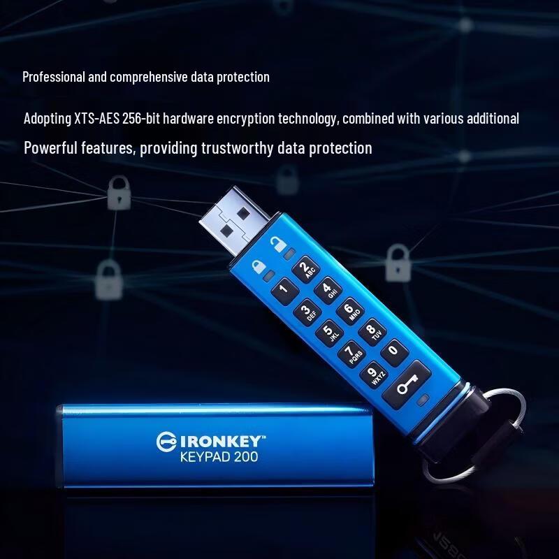 Kingston IronKey Vault Privacy 200 Encrypted Flash Drive