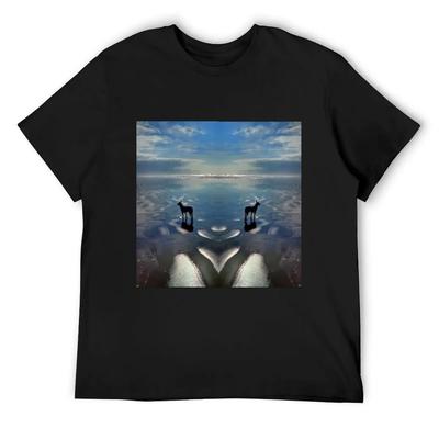 T-shirtler – Tişörtler