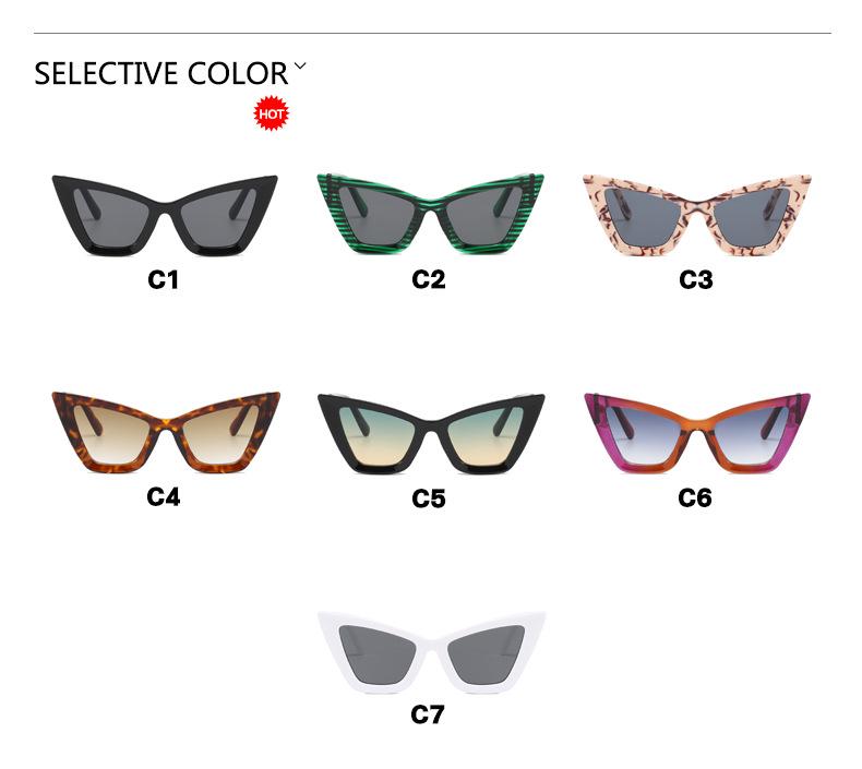 Large Cat Eye Sunglasses - 2023 Women's Fashion Runway Style