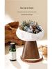Wilderness Secret Scented Stone Diffuser Gift Set - Indoor Flameless Aroma Ornament for Holidays and Parties