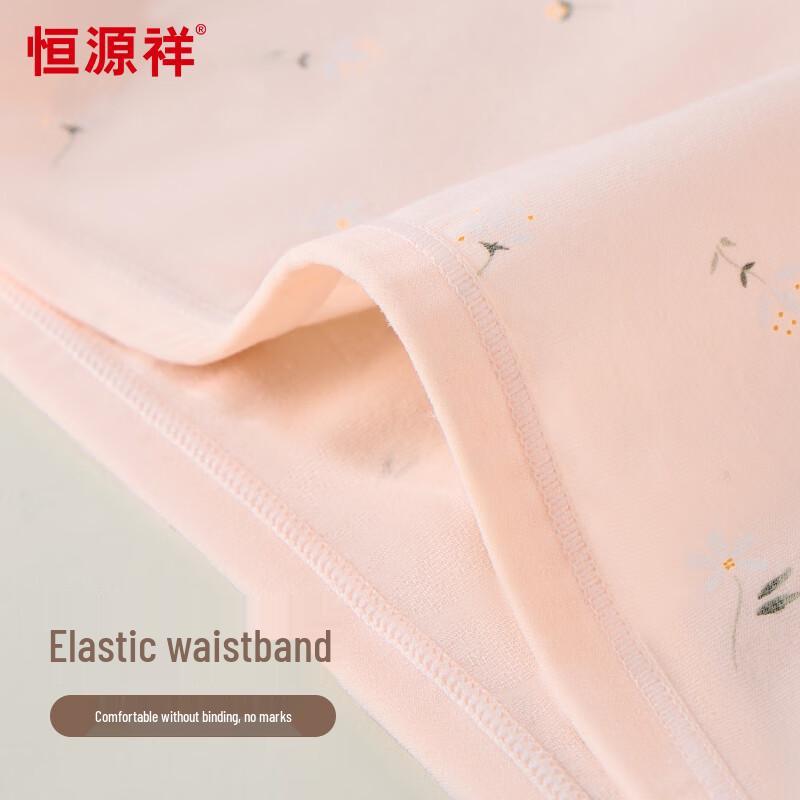 Hengyuanxiang Women's Plus Size High-Waist Pure Cotton Antibacterial Underwear (4-Pack)