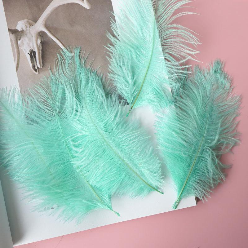Colored Ostrich Hair 15-20Cm Wedding Ornament Wall Decoration Feather Wall Hand Bouquet Diy Dream Catcher Material