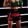 Muay Thai Shorts Boxing Fight Kickboxing Grappling Training Workout Gym Shorts for Men Women Kids Classic Thailand Boxing Pants