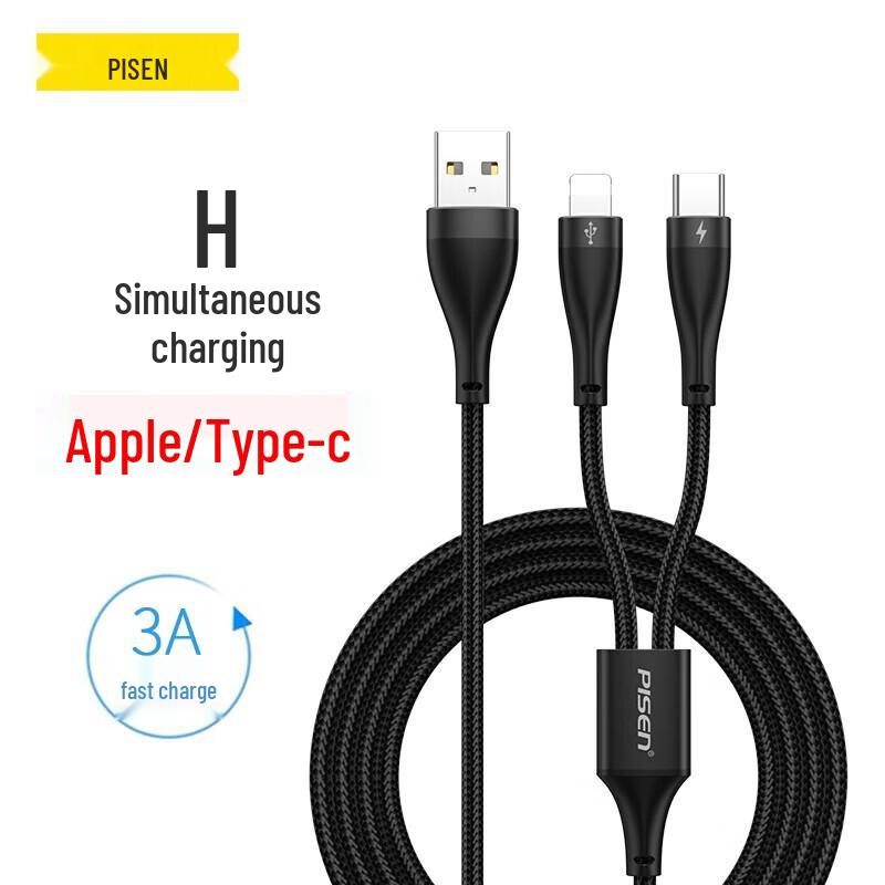 PISEN 2-in-1 Fast Charging Cable