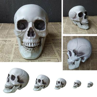 1PC All Size Party Decoration Home Decor Halloween Props Human Skeleton Skull Head Hanging Decor