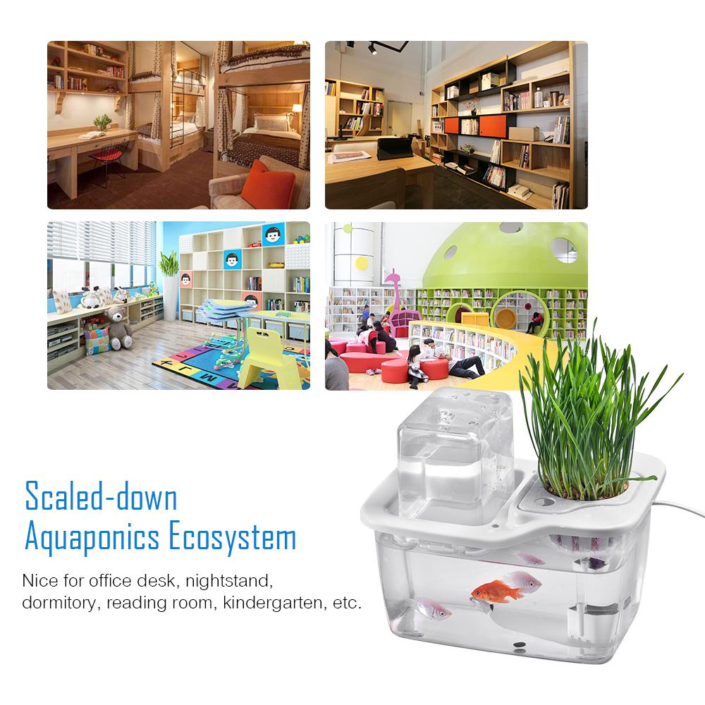 Mini Aquaponik Ökosystem Hydroponik Aquarium Wasser Garten Ökologisches