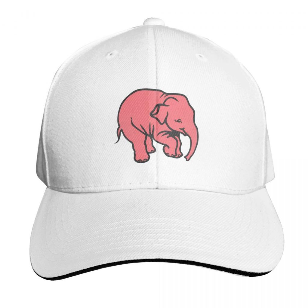 Delirium Elefant Baseballkappe Geburtstag Dropshipping Hut Unisex Luxus Mode Strand Für Frauen Unisexs
