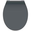 Toilet Seat - Schutte - 82704 - Anthracite - Soft-close System - Easy Installation
