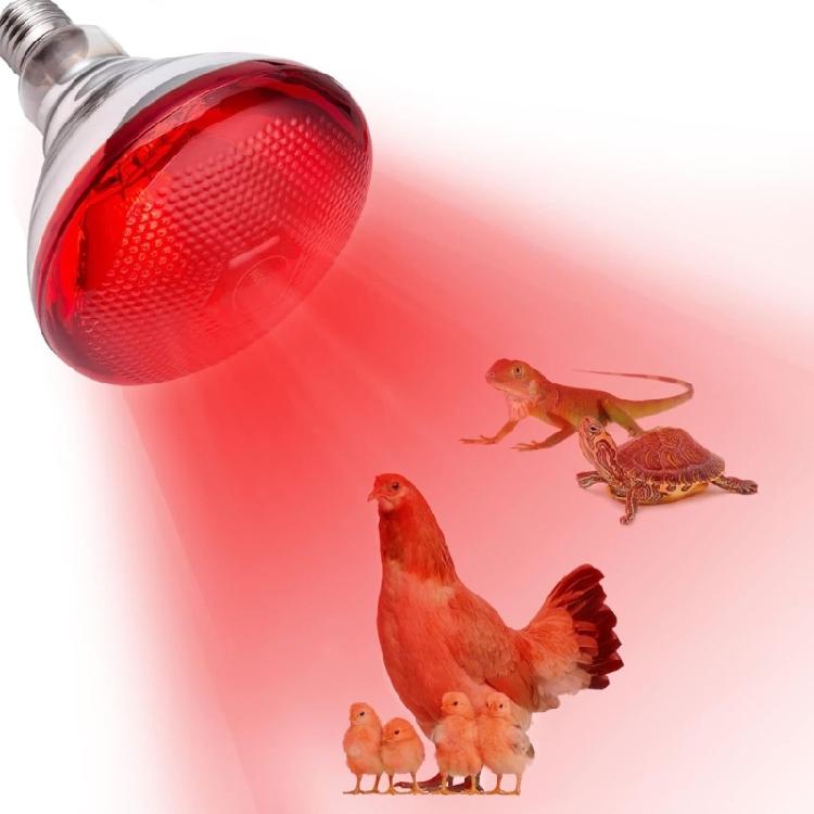 2pcs 250W Heat Lamp Red Light for Piglets Baby Chicken and Small Animals with E26 Base
