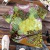 Summer Round Neck 3D Ethnic Style Print Top Fashionable Casual Short Sleeved Women's T-shirts